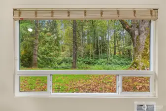 Gorgeous view from the living room window.
