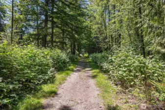 Trail just steps from the home leads to a private community beach.