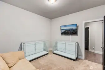 Office/Flex Room Downstairs