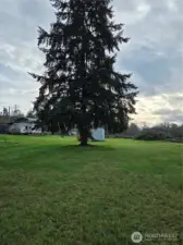 looking south of propperty