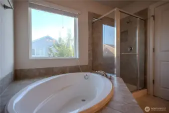 master tub and shower