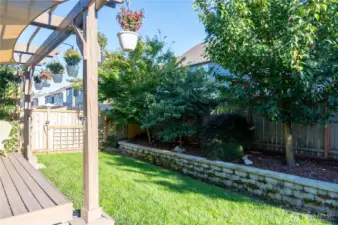 nice landscaped yard