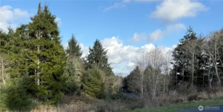 Cross the street view