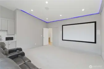 Bonus/media room with built in bar/kitchette area