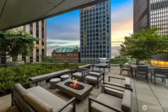 2nd floor roof deck, guest suite, dog run, owners party room