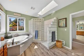 Primary bathroom. Walk-in closet is through the door on the right.