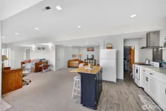 Lower level kitchen.