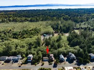 Look how close the house is to Willapa Bay.