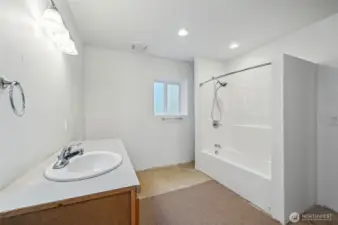 Basement bathroom #4