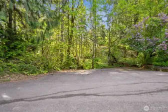 The natural fence borders between lots are rich and dense but light-filtered The expansive side driveway parks to additional cars on each side of the original driveway.