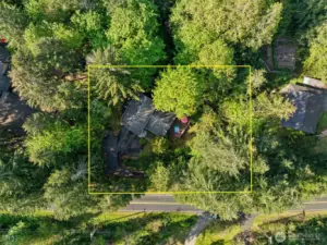 The .87 acre lot sits gently above Alpine drive the dead ends up in the Capital Forest area.    The yellow boundaries show a rough estimate of the lot outline.
