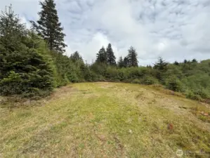 Front of lot