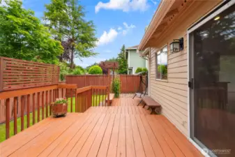 Backyard Deck