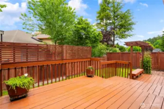 Backyard Deck