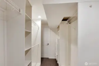 Walk in closet, lower level bedroom