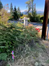 Survey stake with pink & yellow ribbons at NE corner of lot #10.