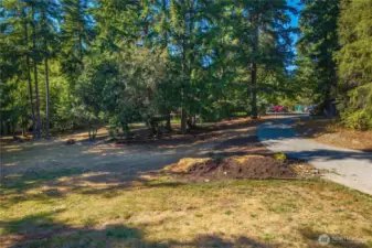 Long, tree-lined gravel driveway leading through the property, creating a private and picturesque entrance.