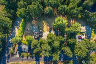 Aerial view of the property, beautifully framed by mature evergreens that provide privacy and a natural setting. The home sits on a spacious lot with plenty of open yard space, surrounded by neighboring properties at a comfortable distance.