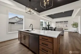 Trayed Ceilings and So Much Light!