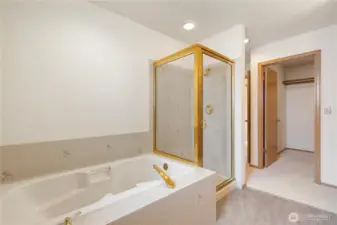 Primary bathroom