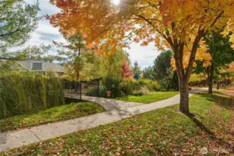 Beautiful in every season