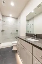 Lower level guest bathroom