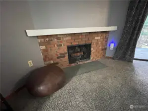 Living room wood burning fireplace