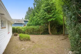 Back yard