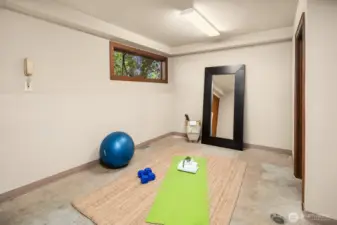 The northernmost room in the basement offers flexibility as a home gym, and with its half-bath and separate exterior entrance, it could easily be converted into a mother-in-law suite or ADU.