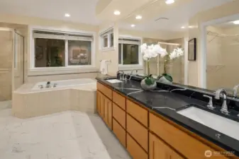 spa like primary bath