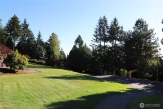 Commons grass field