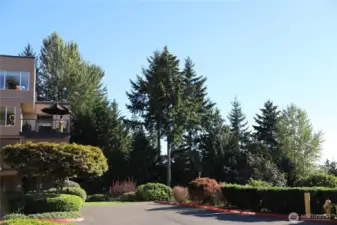 Neighborhood commons area