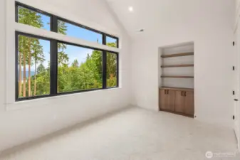 bedroom with a view, custom built ins and massive walk in closet with custom shelving and drawers.