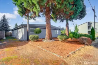 Back/ side of yard