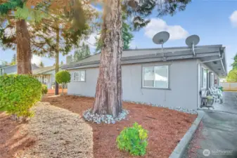 Front side of yard