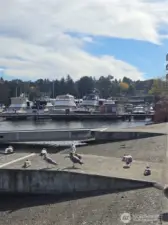 Beautifully situated on Rainier Beach