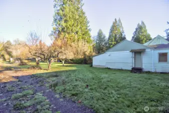 Large yard with fruit mature trees.