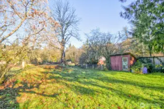 Large yard with chicken coop.