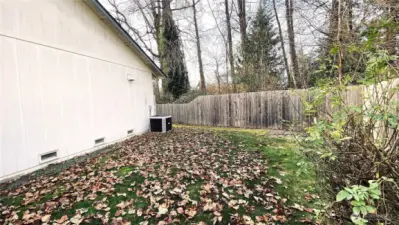 Side yard looking towards the back fence and the green belt.