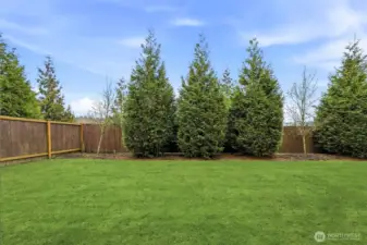 The townhouses on the east side have their own backyards.