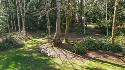 Trails throughout this wonderful property