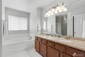 Primary bath features a large walk in closet with organizers.