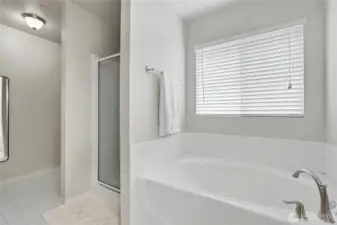 Separate shower and soaking tub.