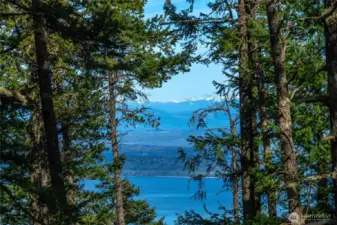Views of M. Baker by the cabin.