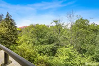 View from private deck.