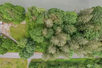 Lot is the treed area approximately