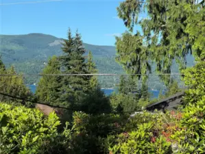 There is a view of the lake over the laurel which could be opened up if it were pruned.