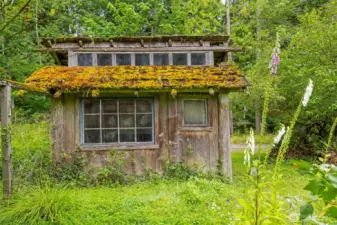 Another view of the chicken coop or little outbuilding that was built many years ago...
