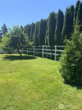 Over 150 trees for privacy