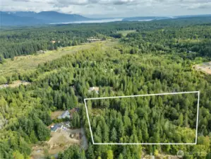 Gorgeous 7.32 acres in Seabeck ready for your dream home! *Lot lines are approximate and provided for visual reference only; not a survey. Buyer to verify to their satisfaction.